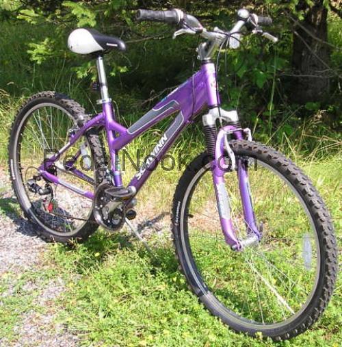 Schwinn SX2000 fiche technique et avis